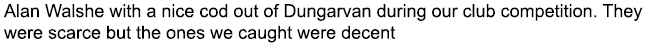 Alan Walshe with a nice cod out of Dungarvan during our club competition. They were scarce but the ones we caught wer...