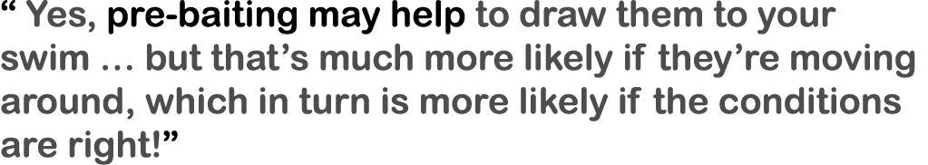 “ Yes, pre-baiting may help to draw them to your swim … but that’s much more likely if they’re moving around, which i...
