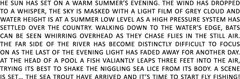 he sun has set on a warm summer’s evening. The wind has dropped to a whisper, the sky is masked with a light film of ...