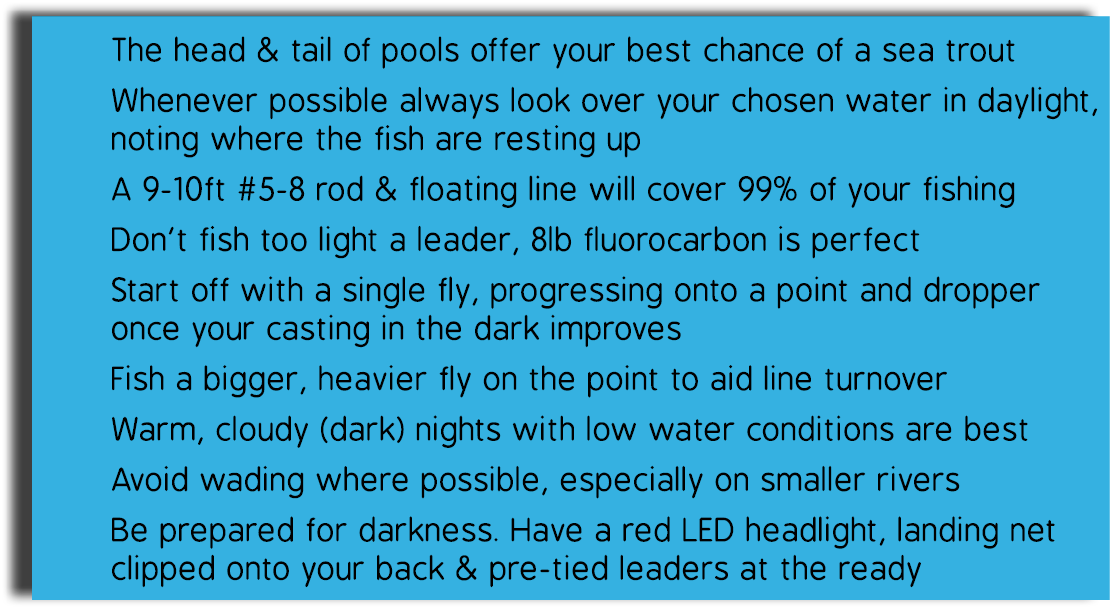 The head & tail of pools offer your best chance of a sea trout Whenever possible always look over your chosen water i...