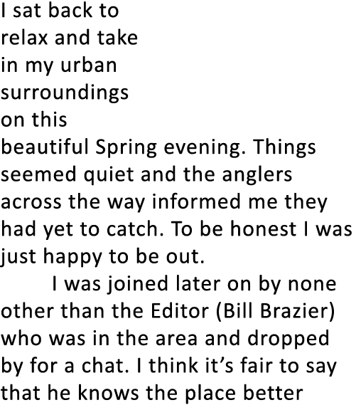 I sat back to relax and take in my urban surroundings on this beautiful Spring evening. Things seemed quiet and the a...