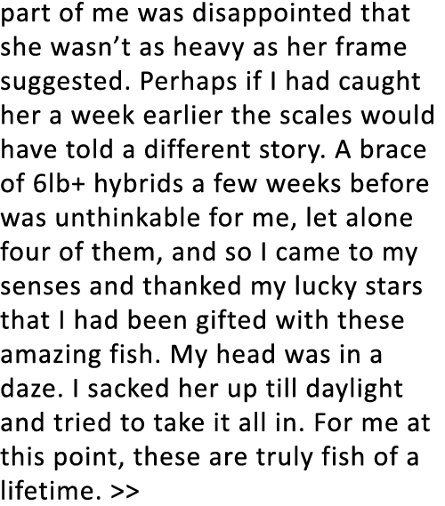 part of me was disappointed that she wasn’t as heavy as her frame suggested. Perhaps if I had caught her a week earli...