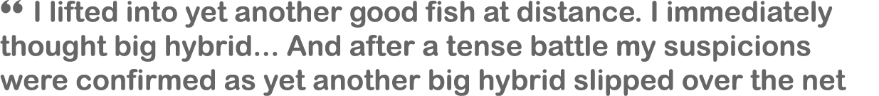 “ I lifted into yet another good fish at distance. I immediately thought big hybrid... And after a tense battle my su...