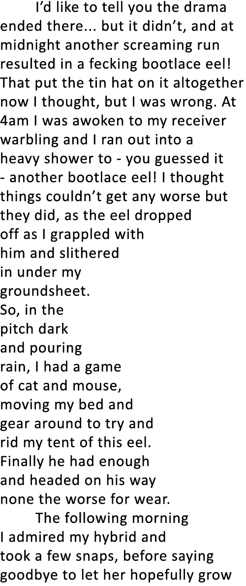  I’d like to tell you the drama ended there... but it didn’t, and at midnight another screaming run resulted in a fec...