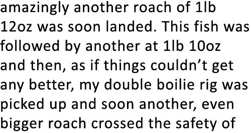 amazingly another roach of 1lb 12oz was soon landed. This fish was followed by another at 1lb 10oz and then, as if th...
