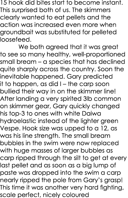15 hook did bites start to become instant. This surprised both of us. The skimmers clearly wanted to eat pellets and ...