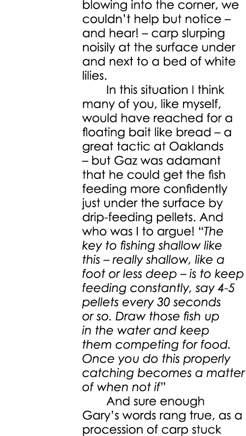 blowing into the corner, we couldn’t help but notice – and hear! – carp slurping noisily at the surface under and nex...