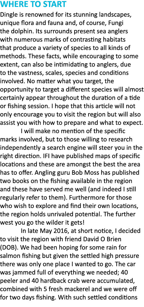 WHERE TO START Dingle is renowned for its stunning landscapes, unique flora and fauna and, of course, Fungi the dolph...