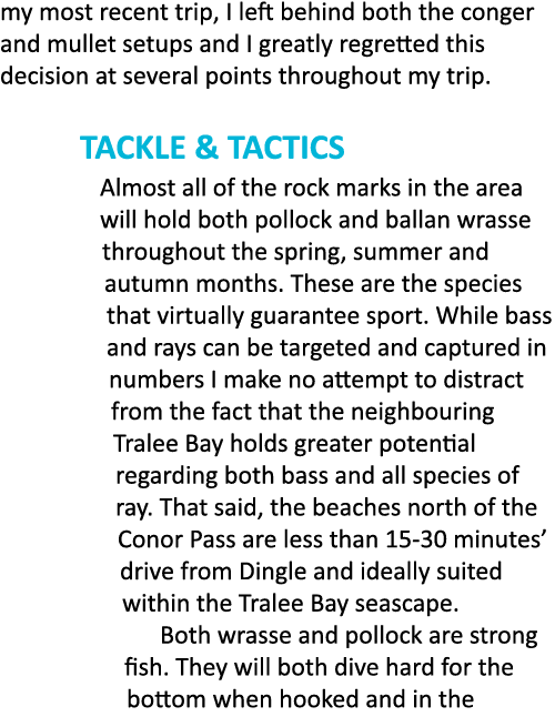 my most recent trip, I left behind both the conger and mullet setups and I greatly regretted this decision at several...