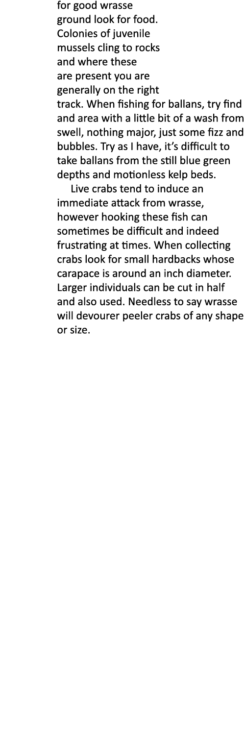 for good wrasse ground look for food. Colonies of juvenile mussels cling to rocks and where these are present you are...