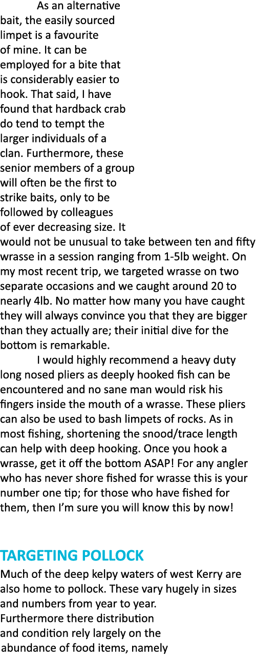  As an alternative bait, the easily sourced limpet is a favourite of mine. It can be employed for a bite that is cons...