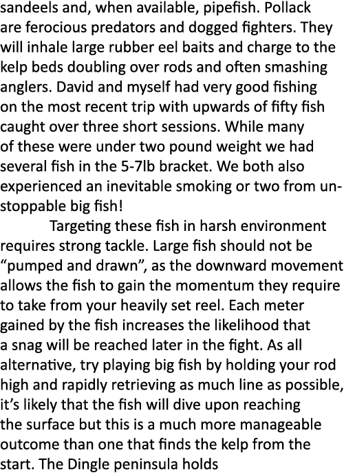 sandeels and, when available, pipefish. Pollack are ferocious predators and dogged fighters. They will inhale large r...