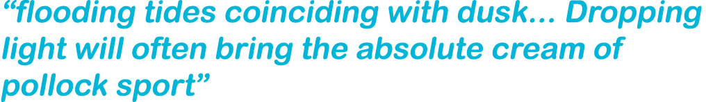 “flooding tides coinciding with dusk... Dropping light will often bring the absolute cream of pollock sport”