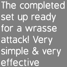 The completed set up ready for a wrasse attack! Very simple & very effective