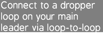 Connect to a dropper loop on your main leader via loop-to-loop