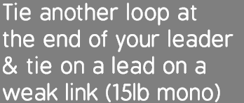 Tie another loop at the end of your leader & tie on a lead on a weak link (15lb mono)