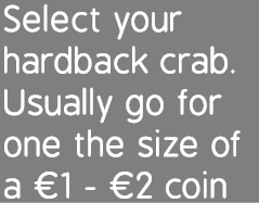 Select your hardback crab. Usually go for one the size of a €1 - €2 coin