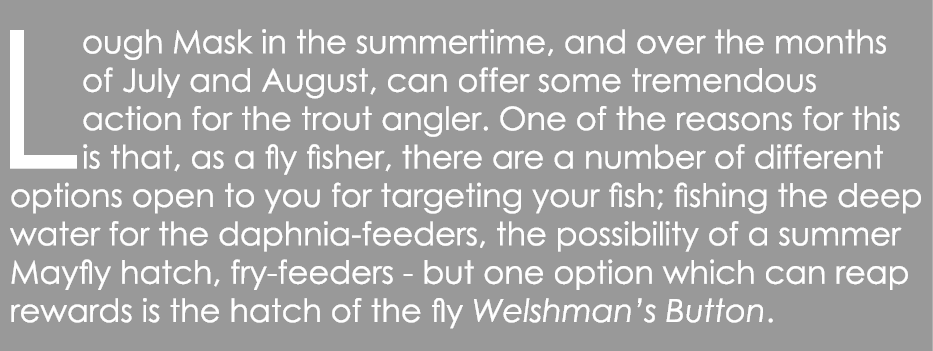 Lough Mask in the summertime, and over the months of July and August, can offer some tremendous action for the trout ...