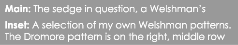 Main: The sedge in question, a Welshman’s Inset: A selection of my own Welshman patterns. The Dromore pattern is on t...