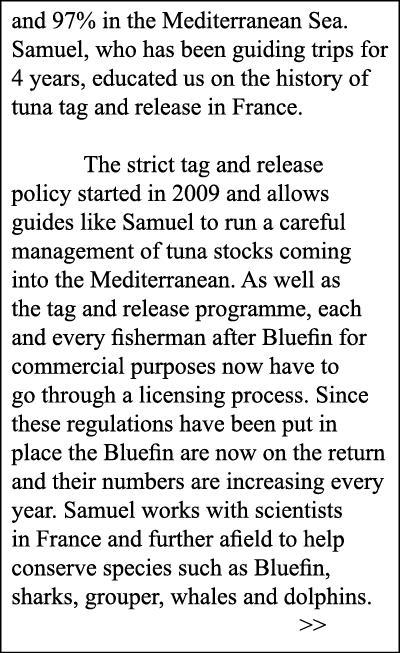 and 97% in the Mediterranean Sea. Samuel, who has been guiding trips for 4 years, educated us on the history of tuna ...