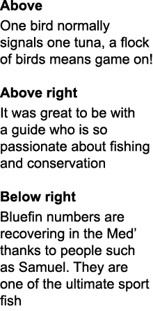 Above One bird normally signals one tuna, a flock of birds means game on!  Above right It was great to be with a guid...