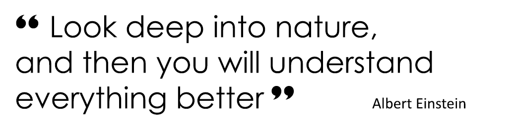 “ Look deep into nature, and then you will understand everything better ”  Albert Einstein
