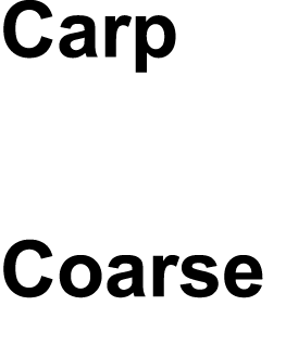 Carp Pike Coarse