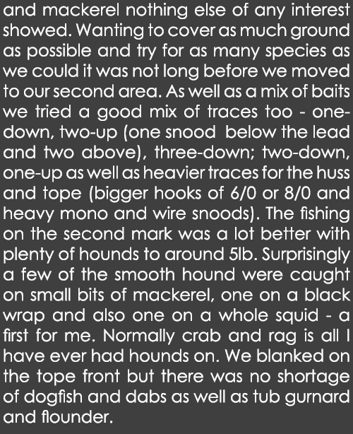 and mackerel nothing else of any interest showed. Wanting to cover as much ground as possible and try for as many spe...