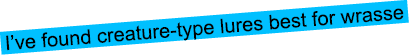 I’ve found creature-type lures best for wrasse