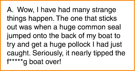 A. Wow, I have had many strange things happen. The one that sticks out was when a huge common seal jumped onto the ba...