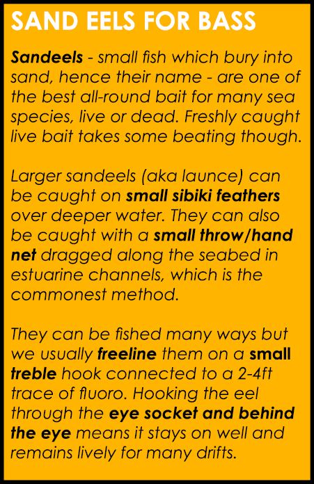 Sand eels for bass Sandeels - small fish which bury into sand, hence their name - are one of the best all-round bait ...
