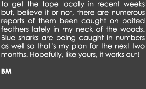 to get the tope locally in recent weeks but, believe it or not, there are numerous reports of them been caught on bai...