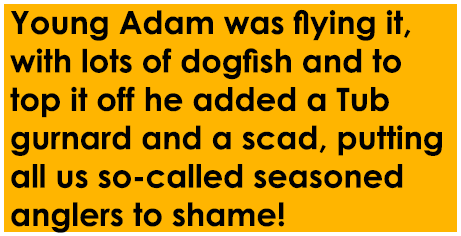 Young Adam was flying it, with lots of dogfish and to top it off he added a Tub gurnard and a scad, putting all us so...