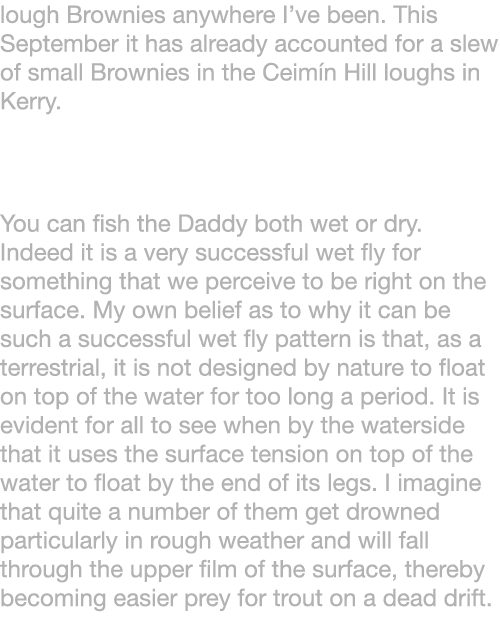 lough Brownies anywhere I’ve been. This September it has already accounted for a slew of small Brownies in the Ceimín...