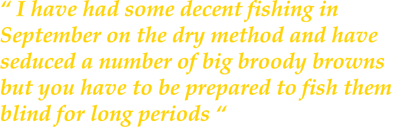 “ I have had some decent fishing in September on the dry method and have seduced a number of big broody browns but yo...