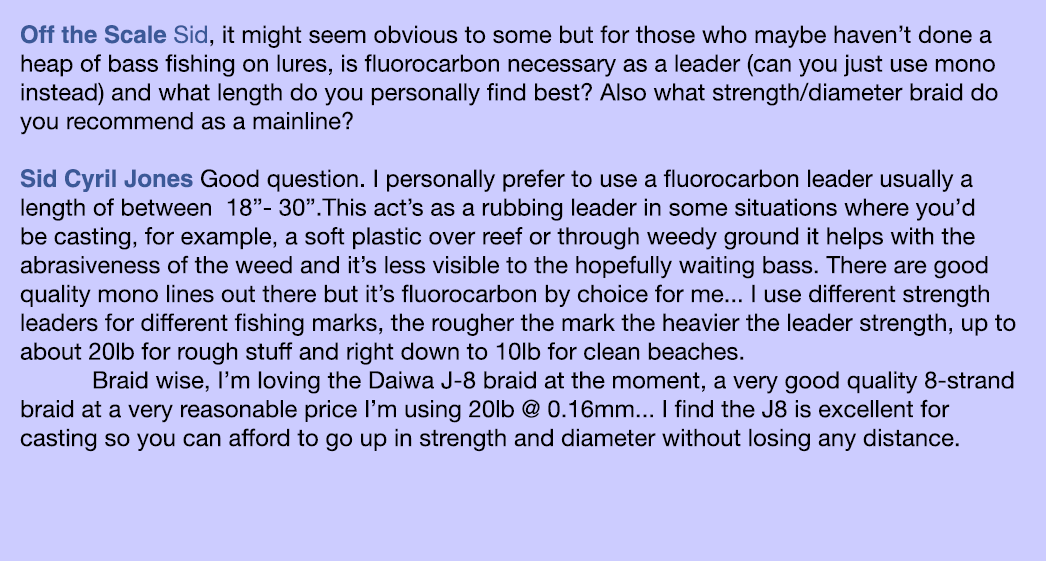 Off the Scale Sid, it might seem obvious to some but for those who maybe haven’t done a heap of bass fishing on lures...