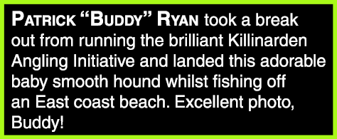 Patrick “Buddy” Ryan took a break out from running the brilliant Killinarden Angling Initiative and landed this adora...