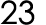 23