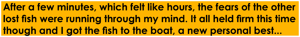 After a few minutes, which felt like hours, the fears of the other lost fish were running through my mind. It all hel...