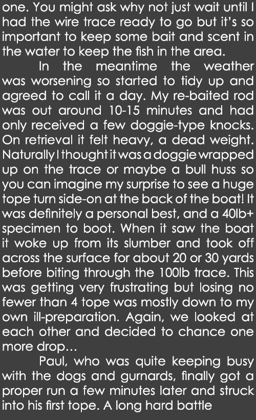 one. You might ask why not just wait until I had the wire trace ready to go but it’s so important to keep some bait a...