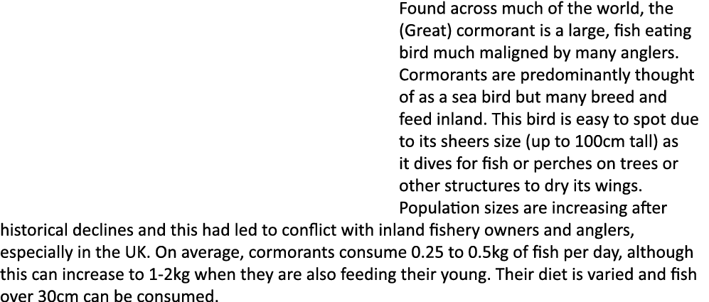 Found across much of the world, the (Great) cormorant is a large, fish eating bird much maligned by many anglers. Cor...