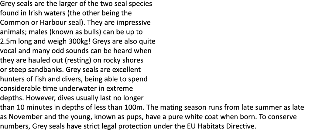 Grey seals are the larger of the two seal species found in Irish waters (the other being the Common or Harbour seal)....