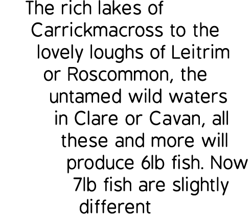 The rich lakes of Carrickmacross to the lovely loughs of Leitrim or Roscommon, the untamed wild waters in Clare or Ca...