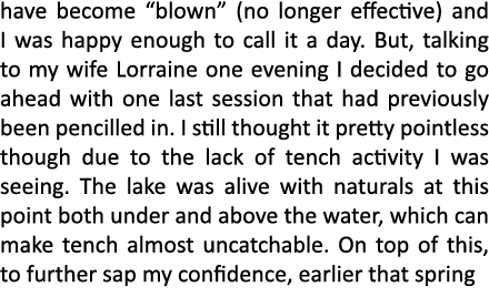 have become “blown” (no longer effective) and I was happy enough to call it a day. But, talking to my wife Lorraine o...