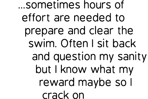 ...sometimes hours of effort are needed to prepare and clear the swim. Often I sit back and question my sanity but I ...