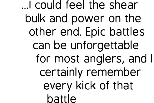 ...I could feel the shear bulk and power on the other end. Epic battles can be unforgettable for most anglers, and I ...