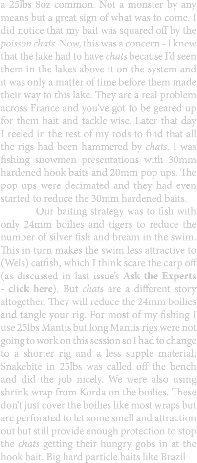 a 25lbs 8oz common. Not a monster by any means but a great sign of what was to come. I did notice that my bait was sq...