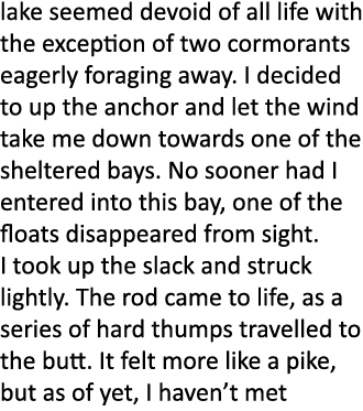 lake seemed devoid of all life with the exception of two cormorants eagerly foraging away. I decided to up the anchor...