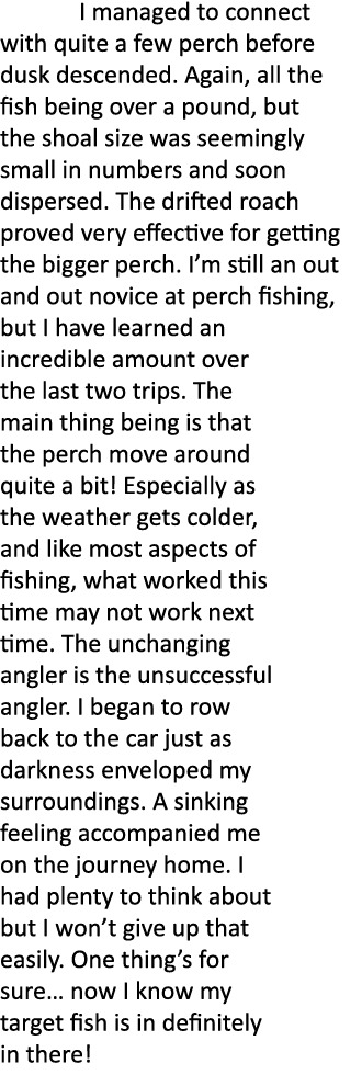  I managed to connect with quite a few perch before dusk descended. Again, all the fish being over a pound, but the s...
