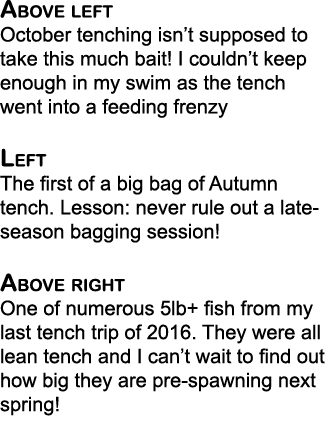 Above left October tenching isn’t supposed to take this much bait! I couldn’t keep enough in my swim as the tench wen...